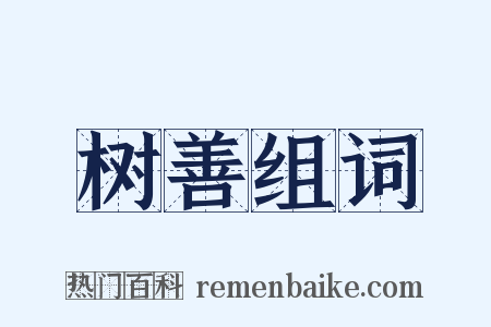 树善组词是什么意思的图片